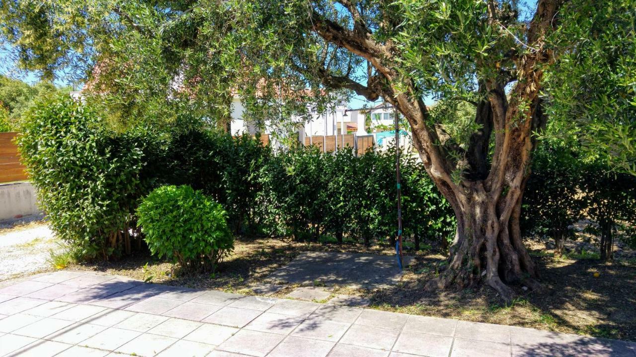 V-Apartments Tsoukalaíika エクステリア 写真